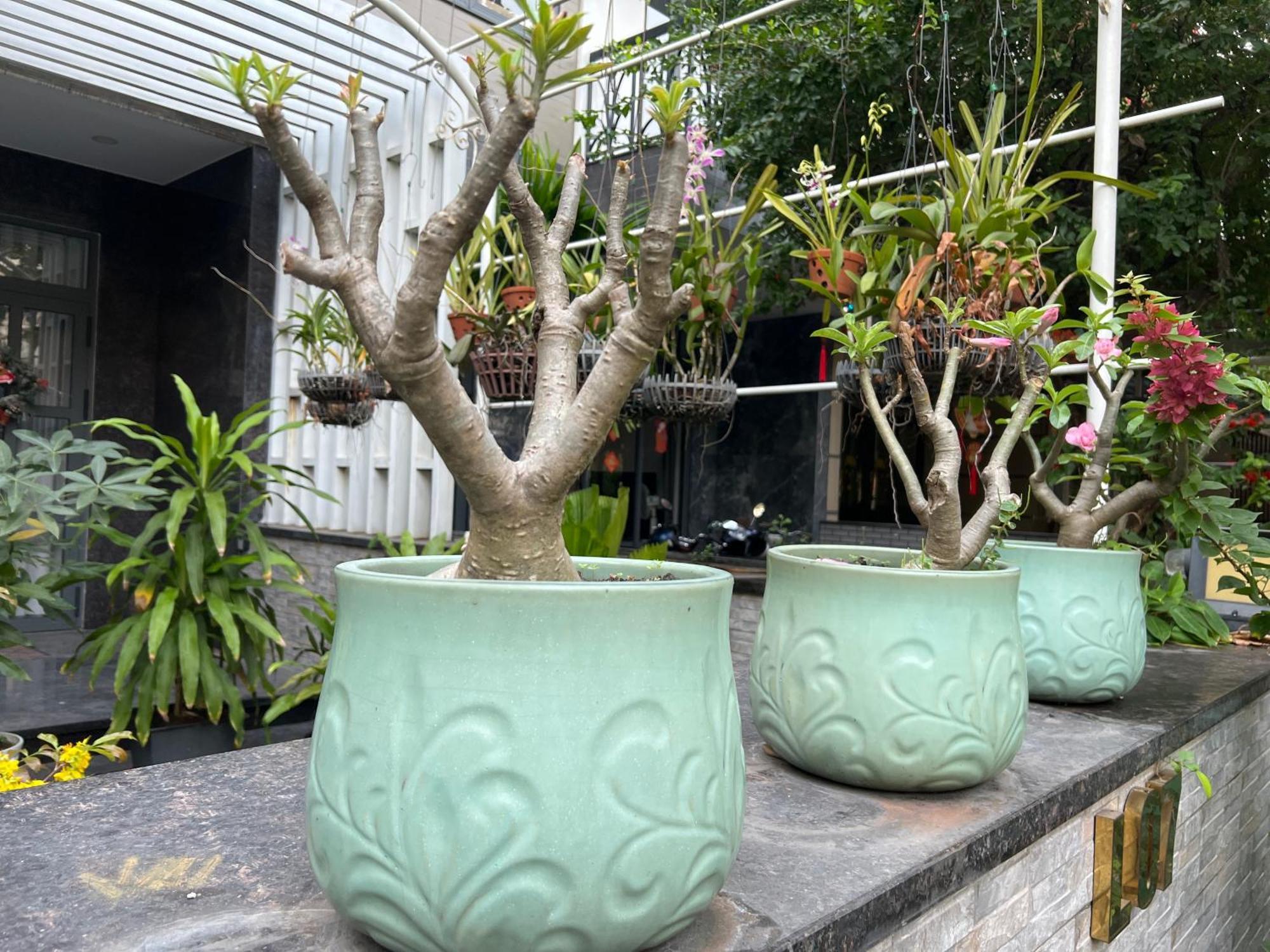 Home Resort With Full Amenities Ho-Chi-Minh-Stadt Exterior foto